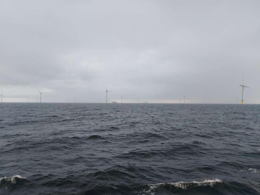 Fewo Nordsee Whng 3 Schillig Kültér fotó